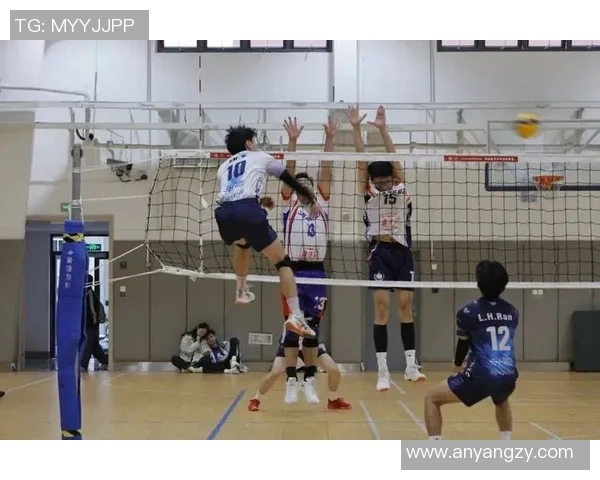 杭州排球队快攻战术解析与深度剖析排球竞技的魅力与挑战